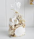Decorative Shells and driftwood for coastal interiors