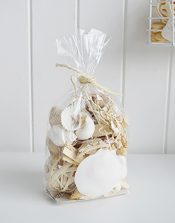 sea shells and driftwood for coastal interiors