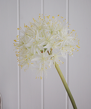 close image of artificial white Allium Superb 