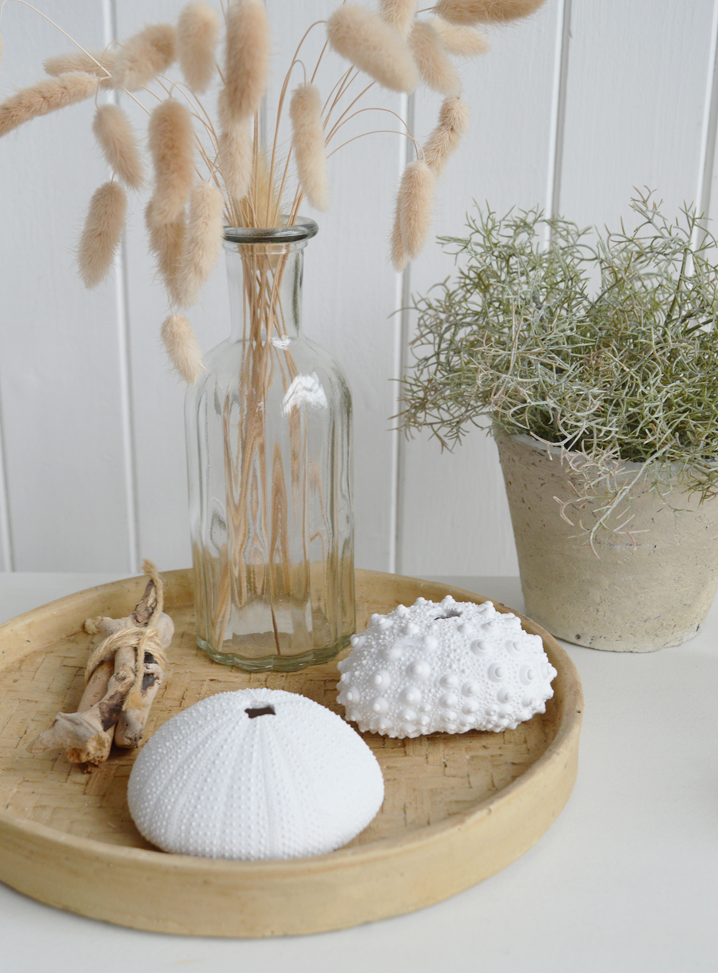 These white resin sea urchins are the perfect finishing touch for coastal interiors, bringing effortless seaside style to your home decor.