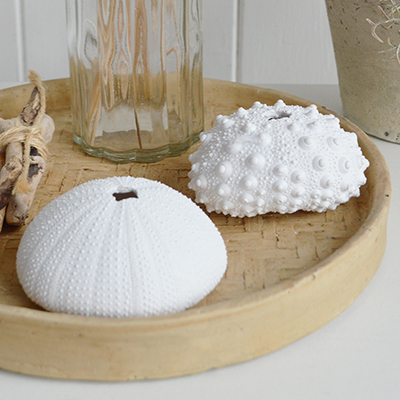 These white resin sea urchins are the perfect finishing touch for coastal interiors, bringing effortless seaside style to your home decor.