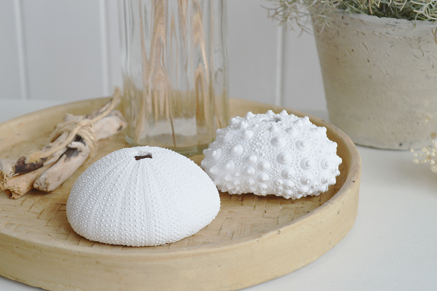 Ideal for styling coffee tables, console tables and shelving, this decorative sea urchin set complements New England, Hamptons and beach house interiors.