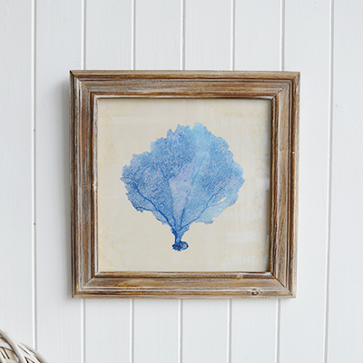 The aged coral print showcases a delicate, faded illustration, evoking a vintage coastal charm. 