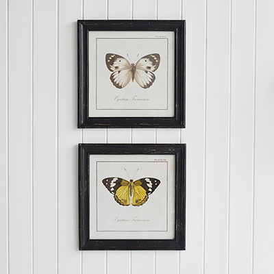 New England wall decor with set of framed Butterfly pictures.