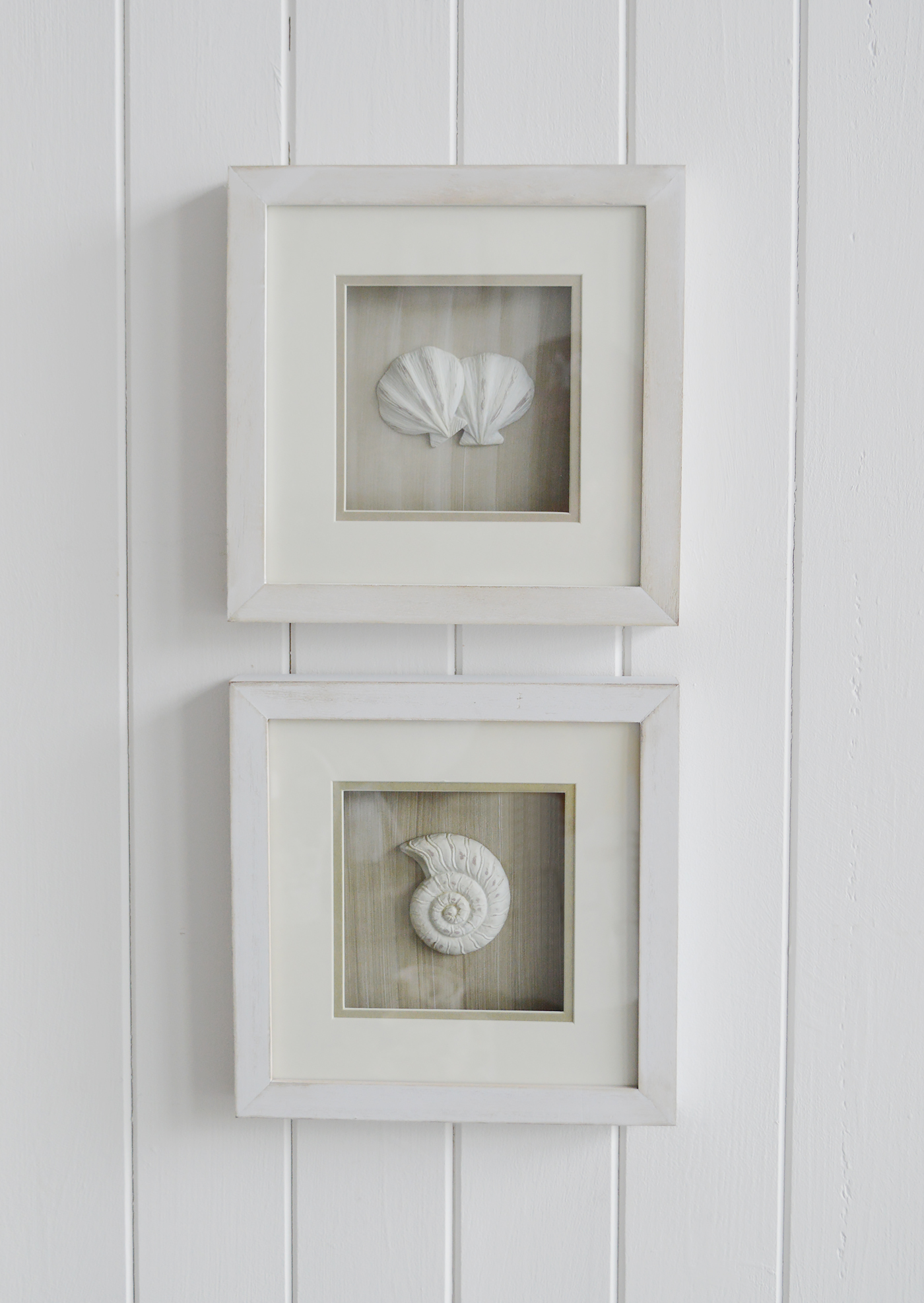 New England Wall Art - Set of Framed Coastal Shells