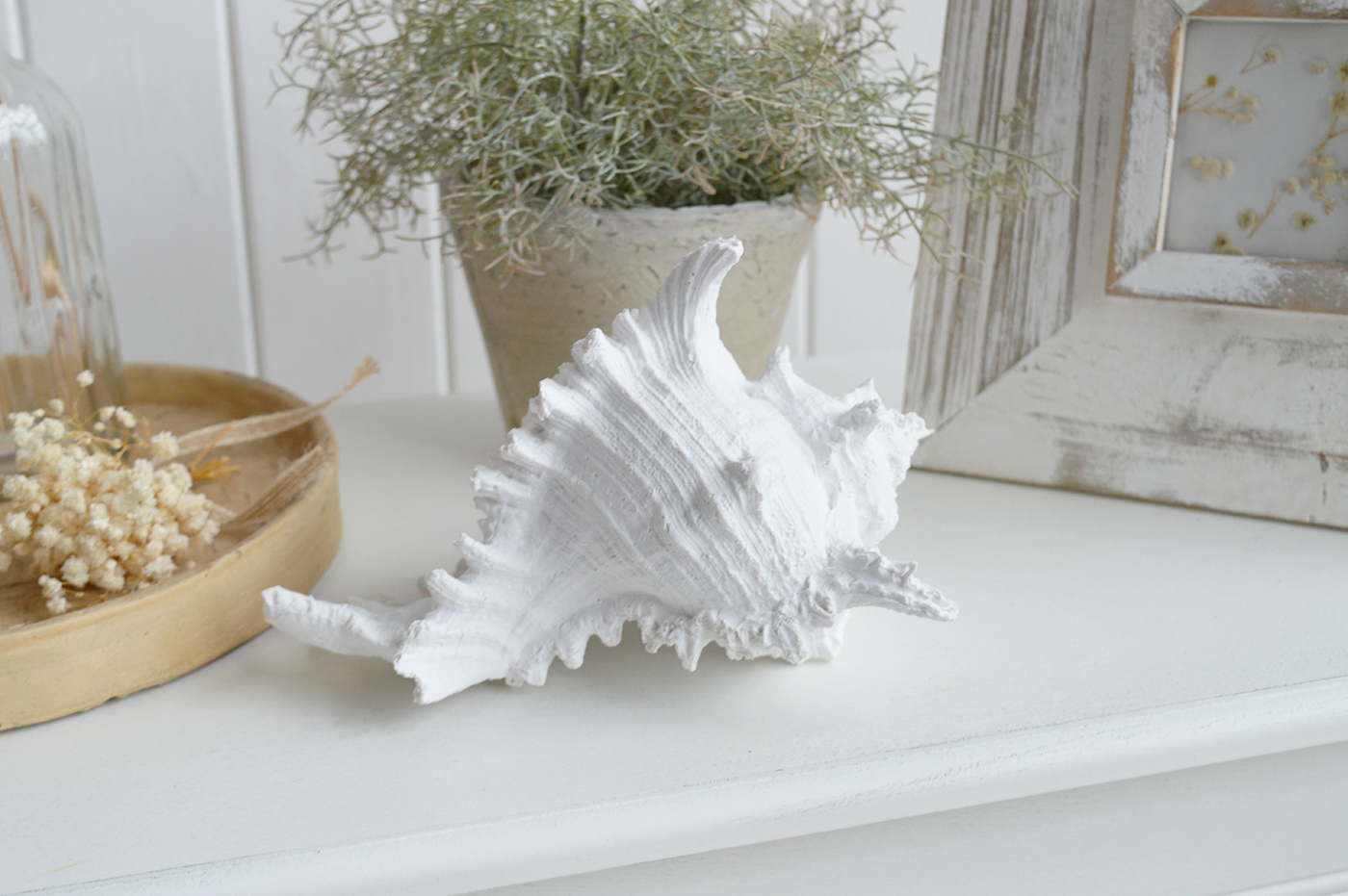 With its realistic shell design and crisp white finish, this decorative resin shell pairs beautifully with coral, driftwood and neutral coastal accessories.