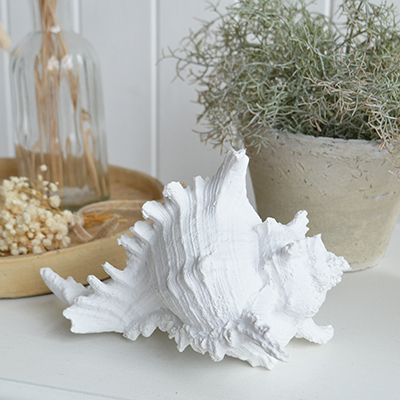 This white resin shell is the perfect decorative accessory for coastal interiors, bringing a fresh seaside feel to your home decor.