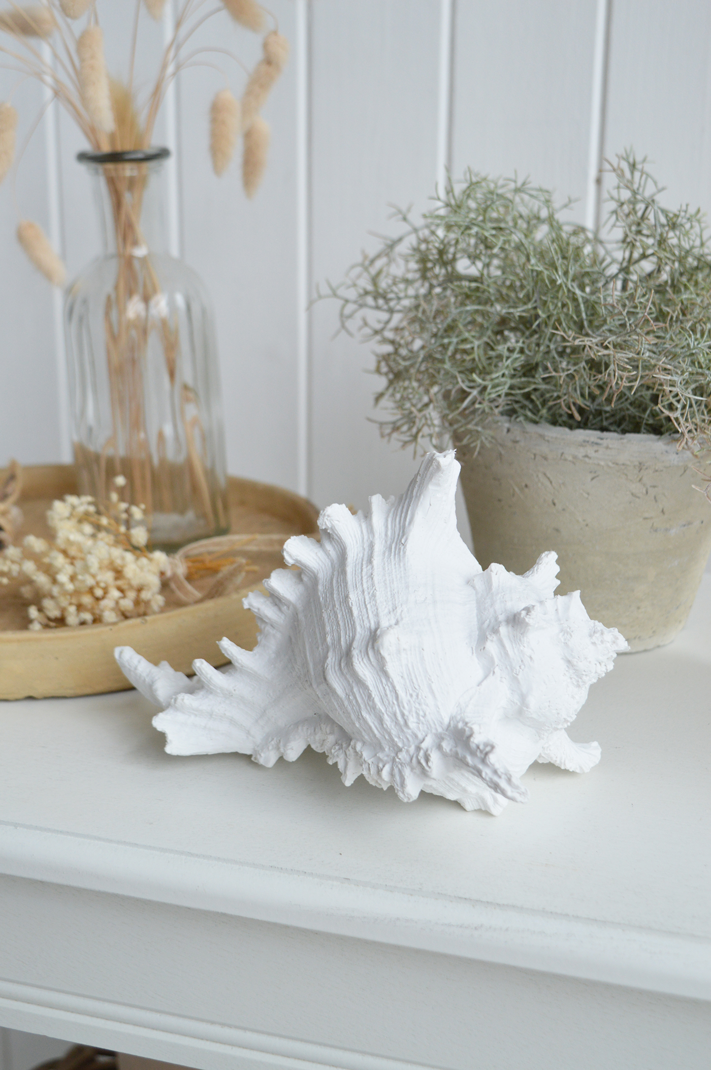 This white resin shell is the perfect decorative accessory for coastal interiors, bringing a fresh seaside feel to your home decor.